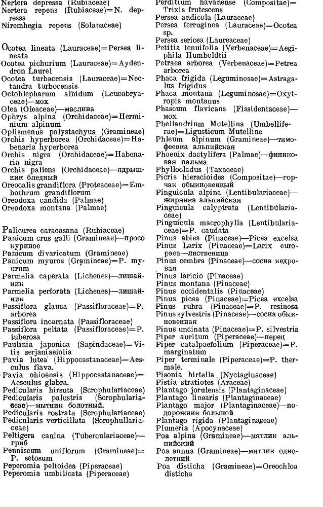 География растений _42.jpg