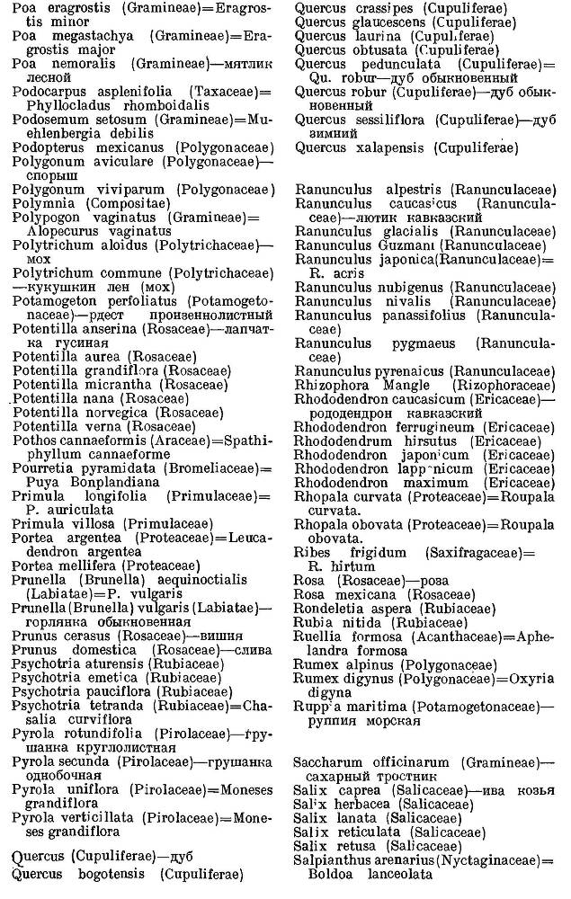 География растений _43.jpg