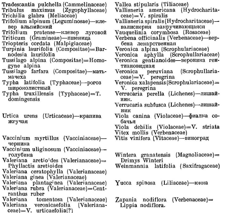География растений _45.jpg