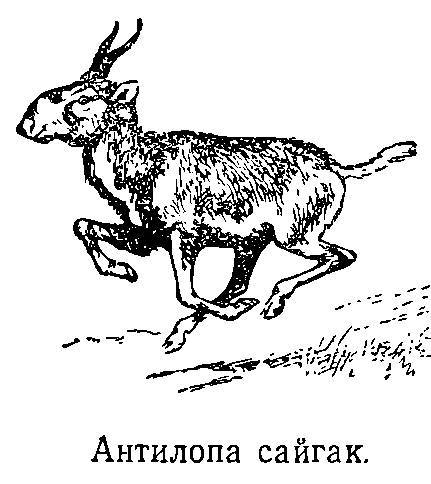 Моря нашей Родины _57.jpg