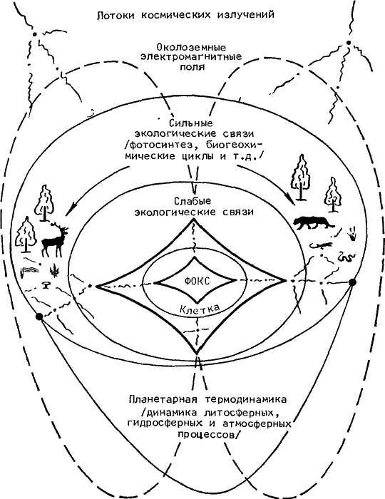 Феномен человека _3.jpg