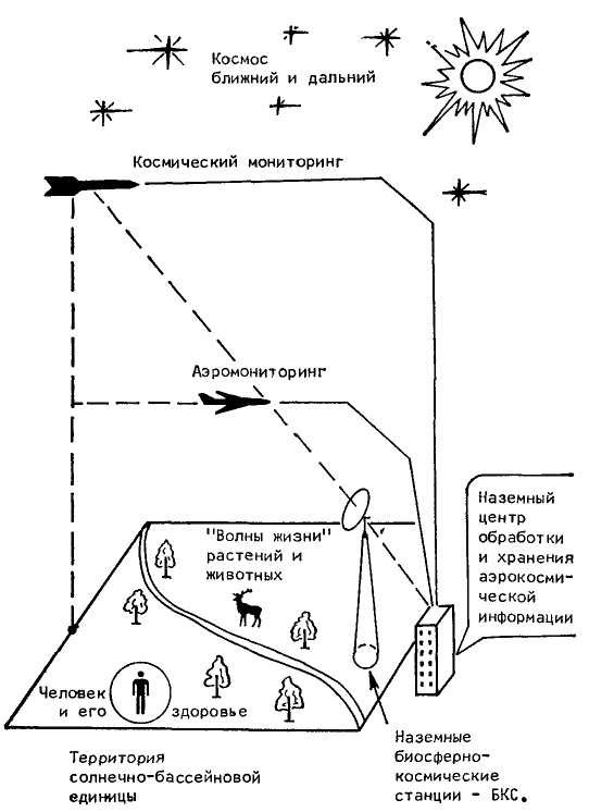 Феномен человека _7.jpg