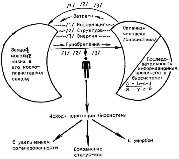 Феномен человека _9.jpg