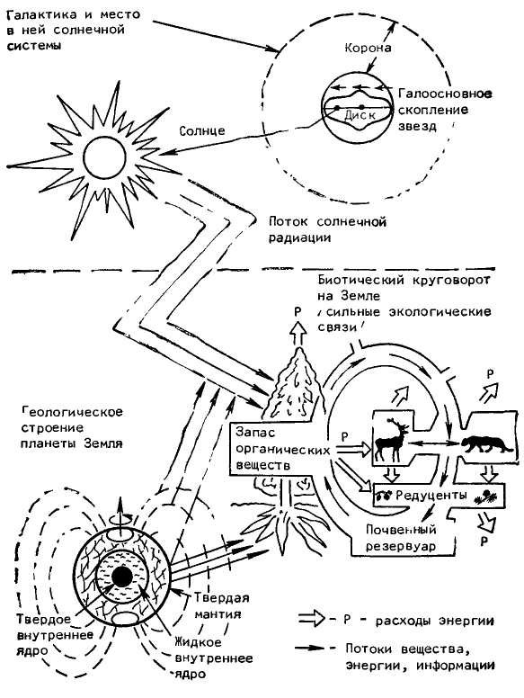 Феномен человека _2.jpg