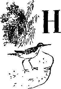 На заволжских озерах (сборник) _39.jpg