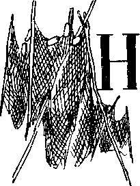 На заволжских озерах (сборник) _15.jpg