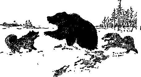 Следы говорят _54.jpg