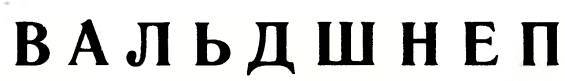 Про птиц _17.jpg