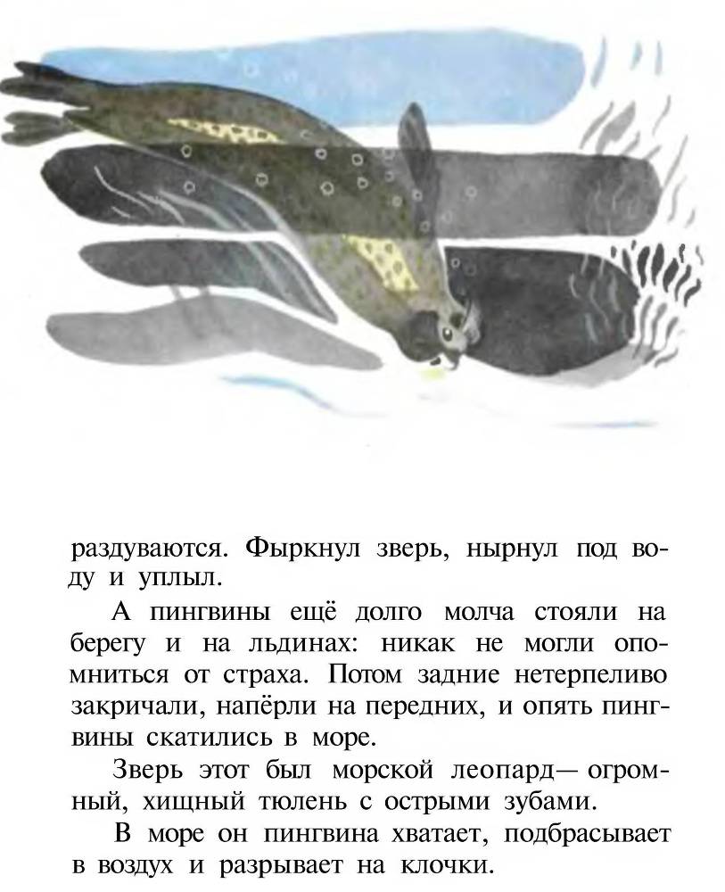 Про пингвинов _12.jpg