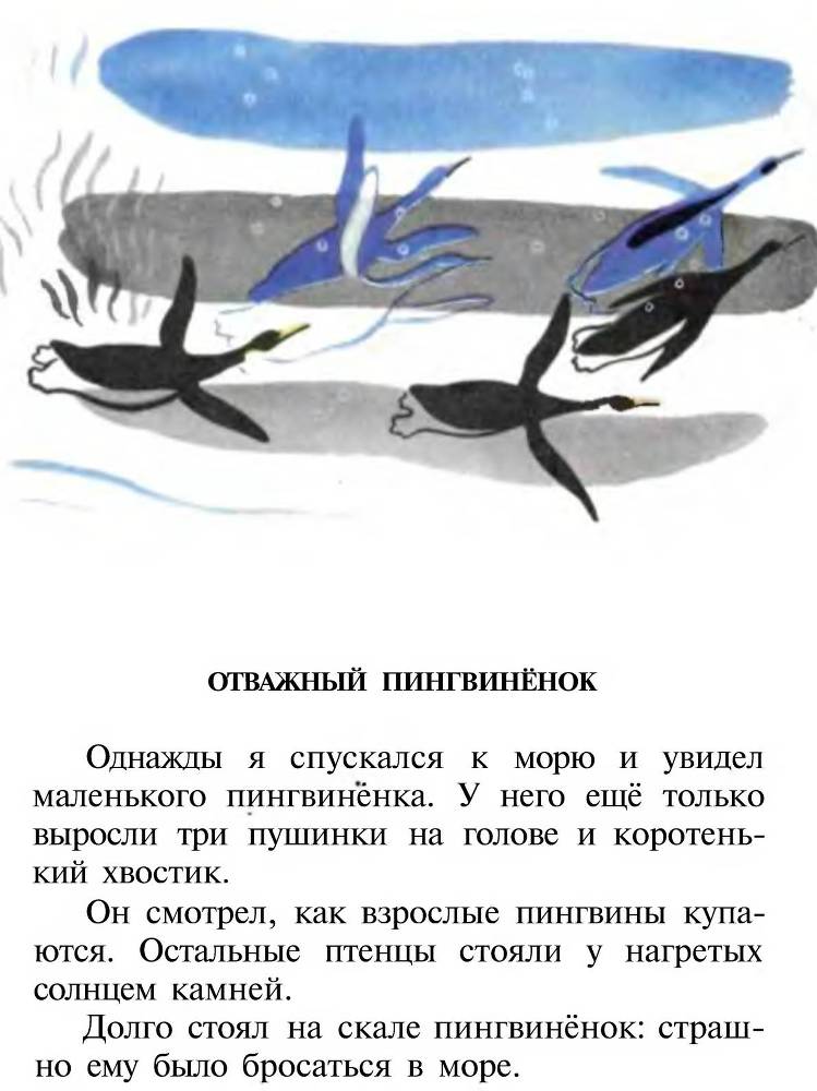 Про пингвинов _13.jpg