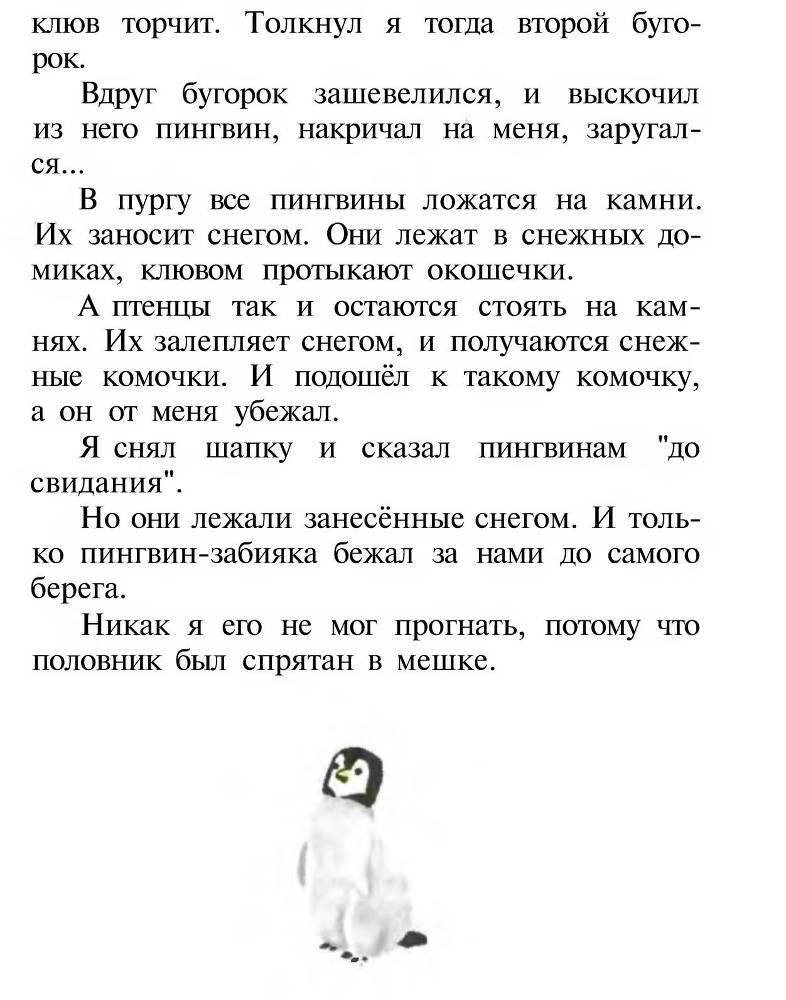 Про пингвинов _16.jpg