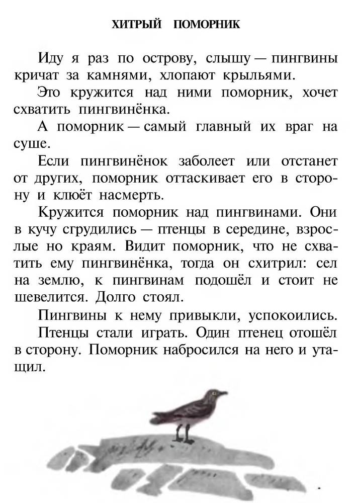 Про пингвинов _7.jpg