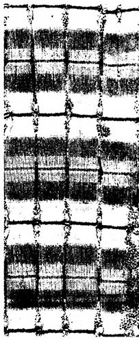 Лестница жизни. Десять величайших изобретений эволюции i_018.jpg