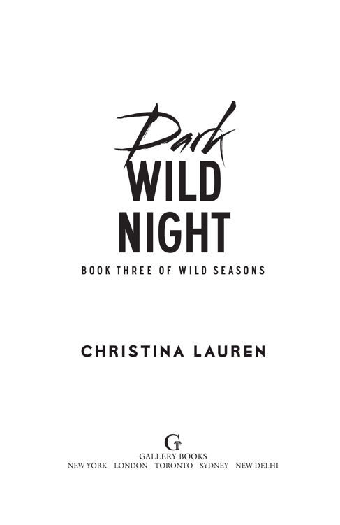 Dark Wild Night _1.jpg