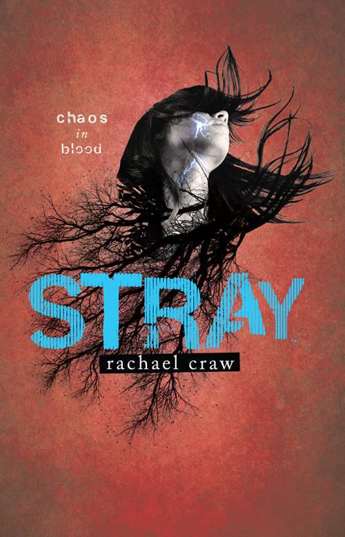 Stray _0.jpg