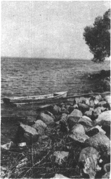 Глобус 1976 _77.jpg