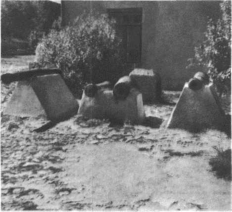 Глобус 1976 _84.jpg