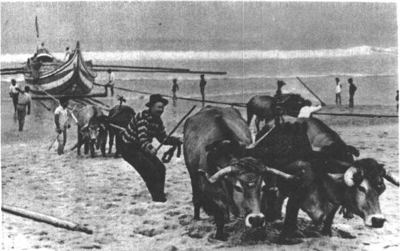 Глобус 1976 _94.jpg