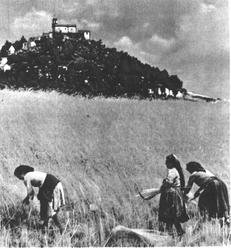 Глобус 1976 _95.jpg