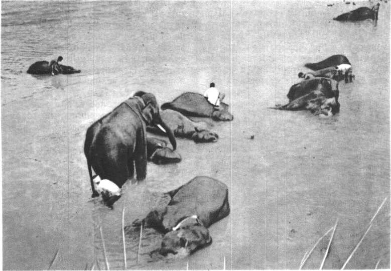 Глобус 1976 _127.jpg