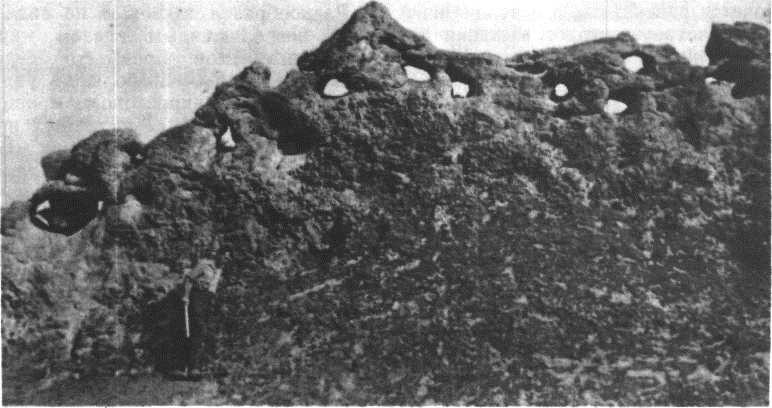 Глобус 1976 _10.jpg