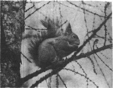 Глобус 1976 _147.jpg
