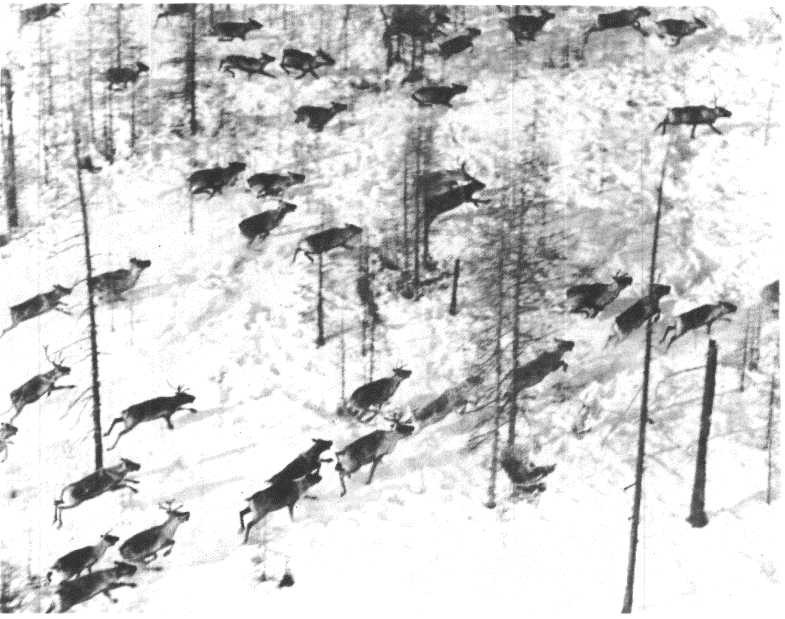 Глобус 1976 _151.jpg