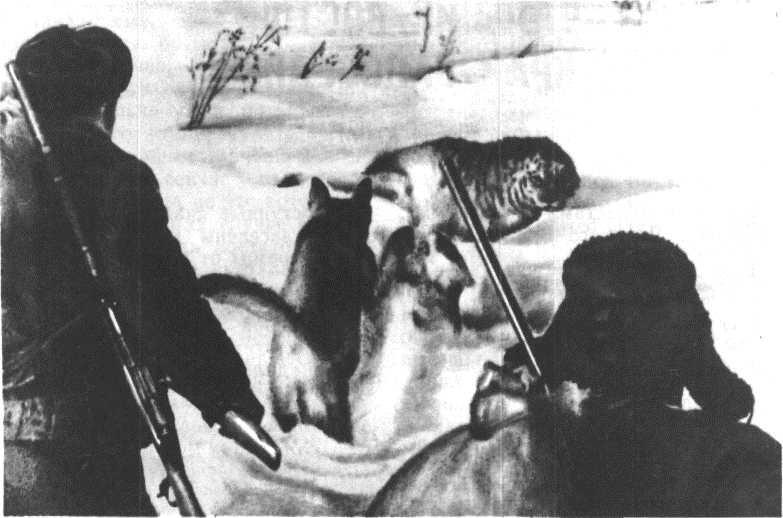 Глобус 1976 _152.jpg