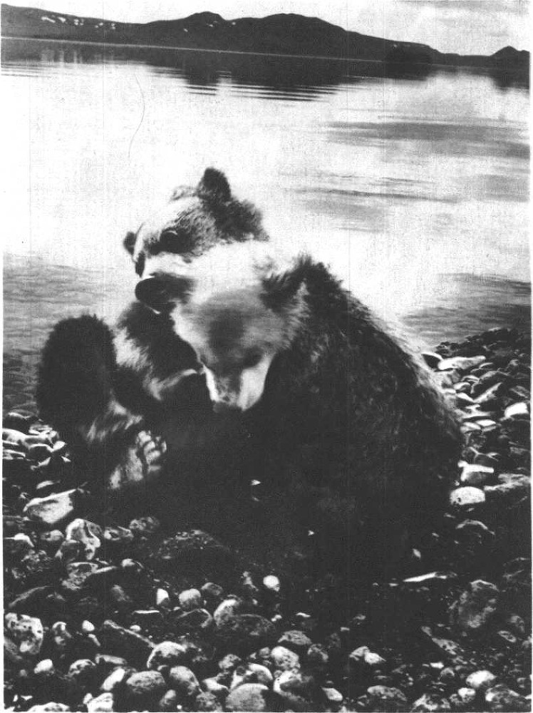 Глобус 1976 _154.jpg