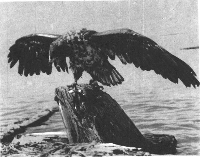 Глобус 1976 _158.jpg