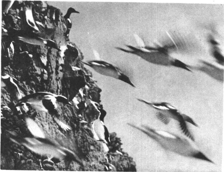 Глобус 1976 _159.jpg