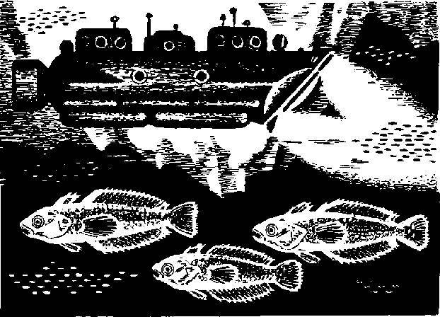 Глобус 1976 _165.jpg