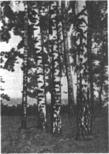 Глобус 1976 _198.jpg