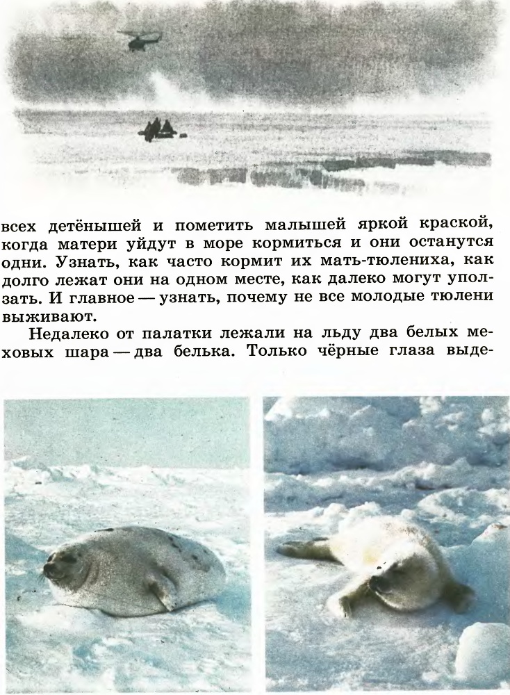 В океане _10.jpg