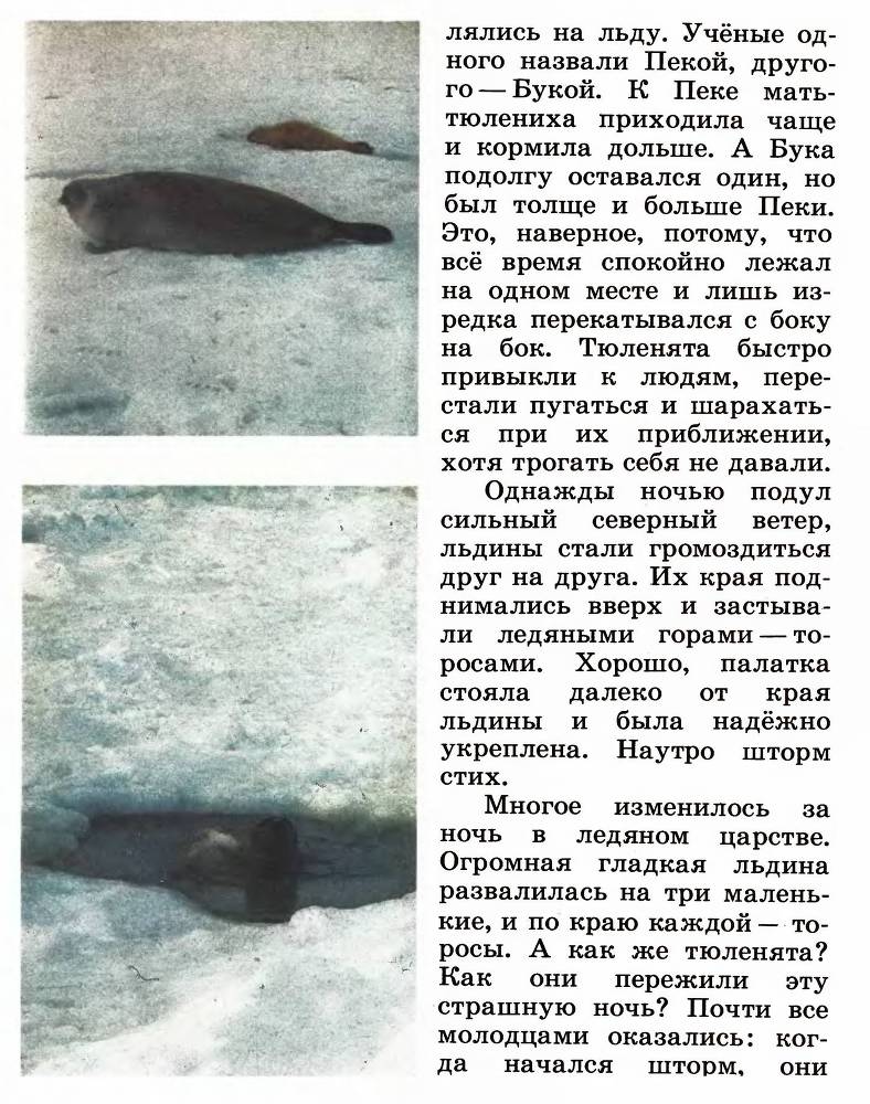 В океане _11.jpg
