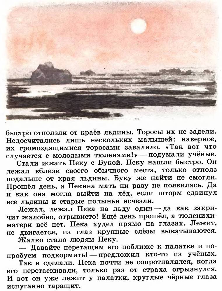 В океане _12.jpg