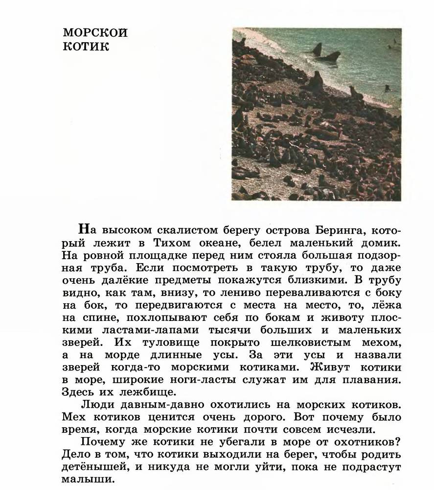 В океане _3.jpg