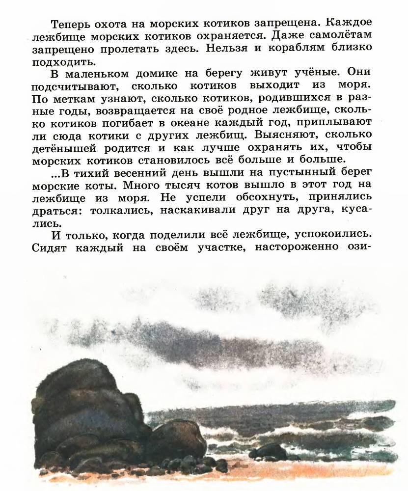 В океане _4.jpg
