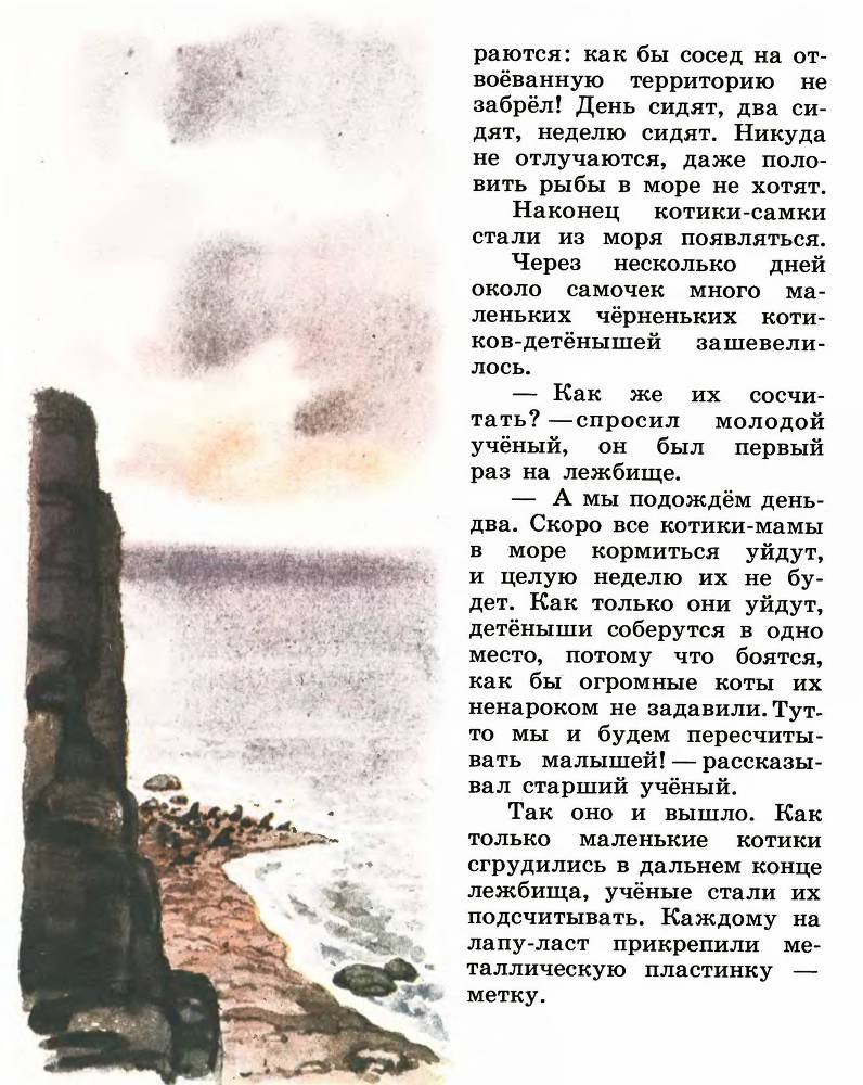 В океане _5.jpg
