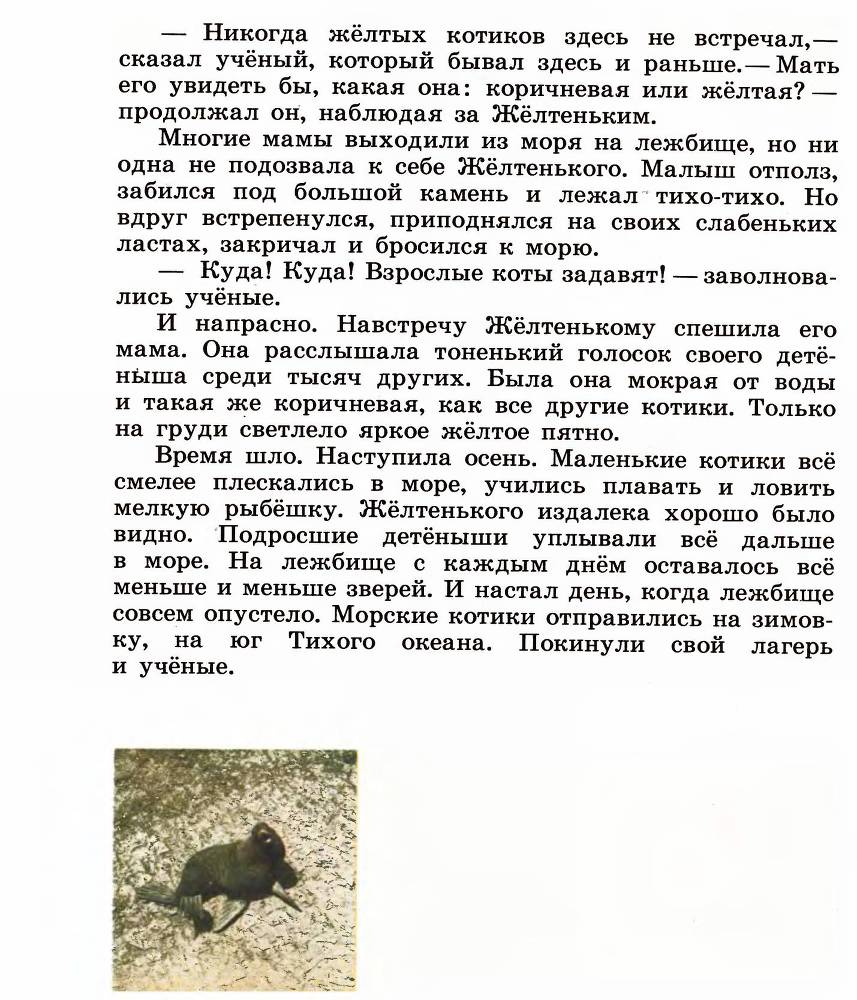 В океане _7.jpg