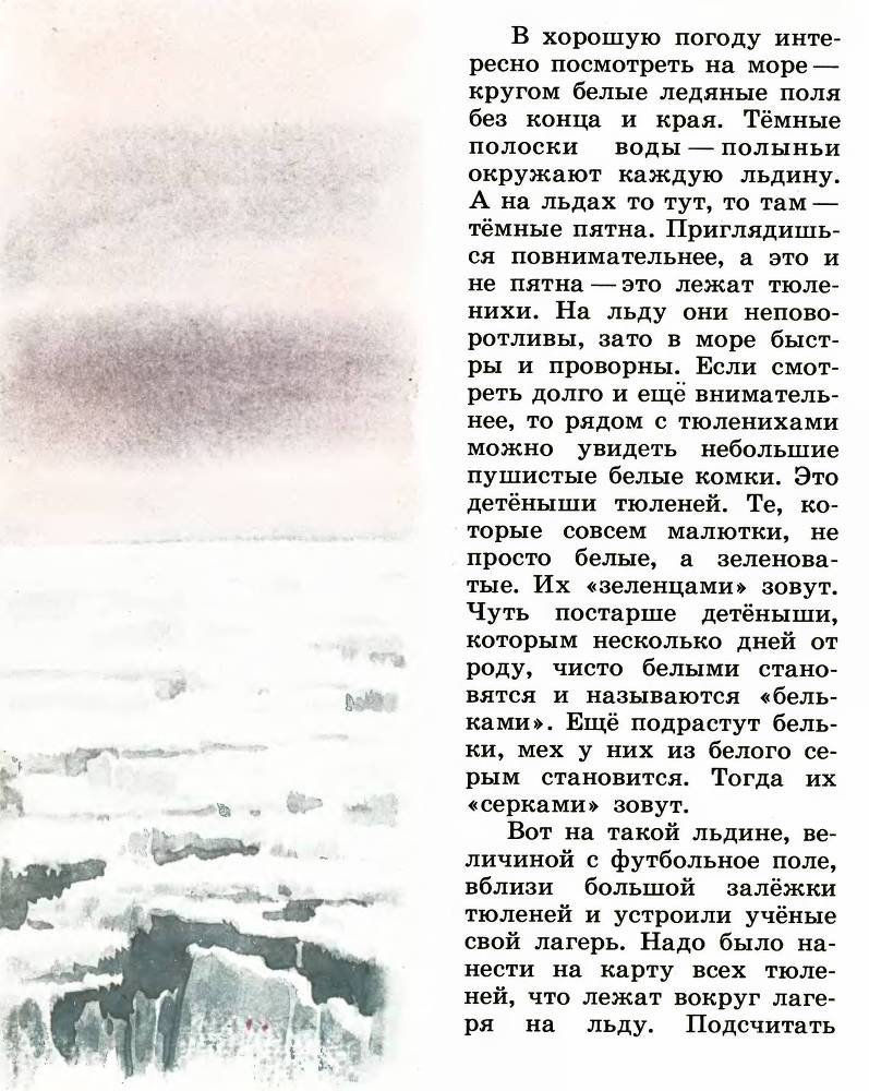 В океане _9.jpg