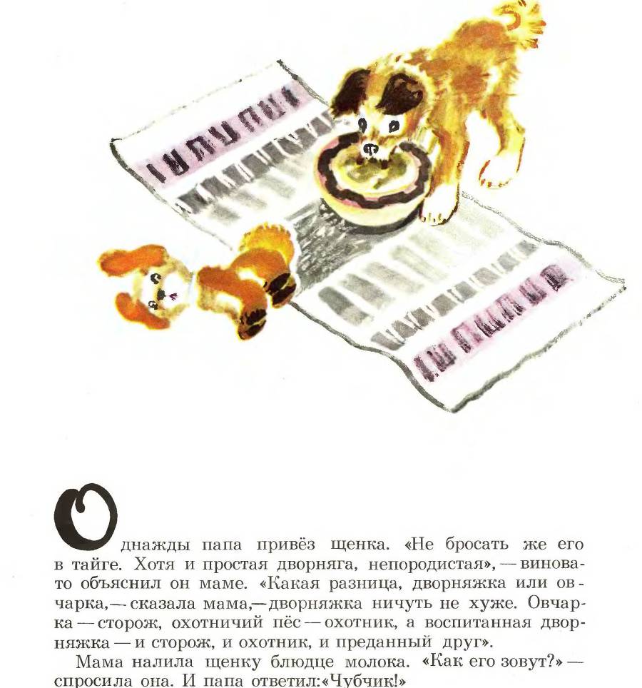 Лесные дети (с илл.) _13.jpg