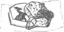 i_025.jpg