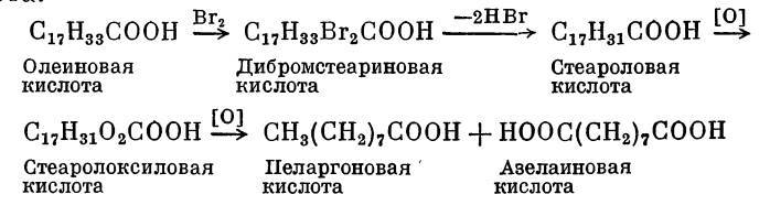 Александр Михайлович Зайцев _40.jpg