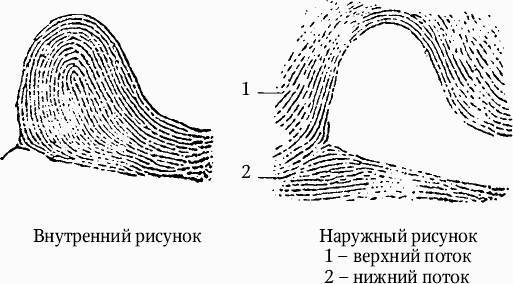 Как распознать преступника _45.jpg