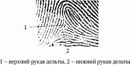 Как распознать преступника _46.jpg