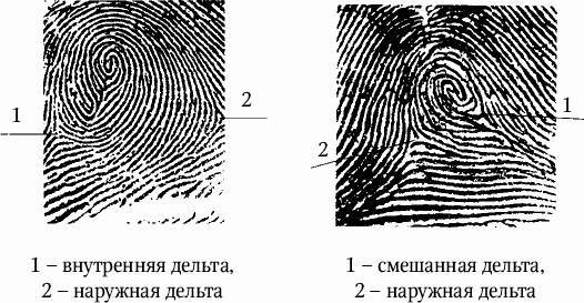 Как распознать преступника _47.jpg
