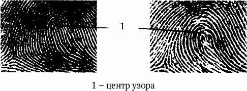 Как распознать преступника _63.jpg