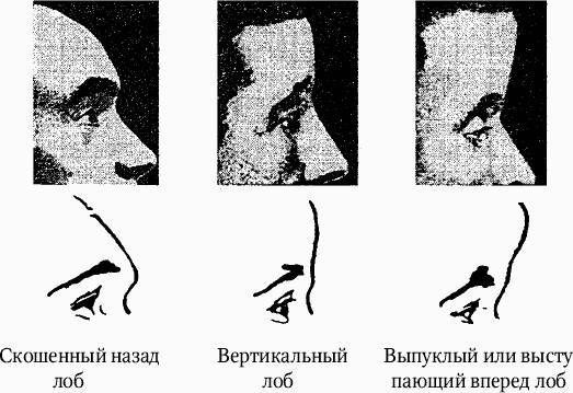 Как распознать преступника _2.jpg