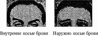 Как распознать преступника _4.jpg